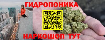 крисы Абинск